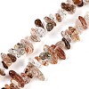 Natural Black Gold Rutilated Quartz Beads Strands X-G-G905-20-1
