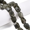 Natural Labradorite Beads Strands G-N342-146-4