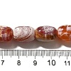 Natural Fire Crackle Agate(Dyed & Heated) Beads Strands G-H091-C03-01-4