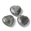 Natural Labradorite Pendants G-A259-02P-02-1