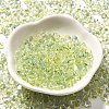 Transparent Baking Paint Glass Seed Beads SEED-P006-02B-09-2