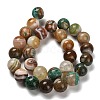 Dyed Natural Agate Beads Strands G-G175-A14-01-3