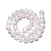 Natural Cultured Freshwater Pearl Beads Strands PEAR-N014-08I-3