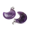 Natural Amethyst Pendants G-Z022-04C-01-2