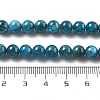 Natural Apatite Beads Strands G-O186-G01-01-4