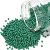 MIYUKI Round Rocailles Beads X-SEED-G007-RR4477-1
