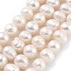 Natural Cultured Freshwater Pearl Beads Strands PEAR-C003-15D-1