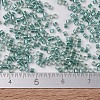 MIYUKI Delica Beads SEED-X0054-DB1767-4