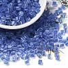 Glass Seed Beads X1-SEED-H002-F-1114-1
