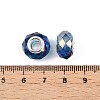 Transparent Glass European Beads GPDL-N004-D14mm-A12-3