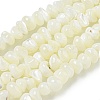 Natural Trochus Shell Beads Strands BSHE-G039-01B-1