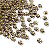 Transparent Stripe Glass Seed Beads LS-GLAA-NH0001-06E-1