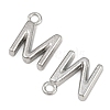 304 Stainless Steel Charms STAS-G356-08P-M-2