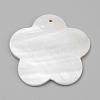 Freshwater Shell Pendants SHEL-Q008-58B-2