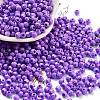 Baking Paint Glass Seed Beads SEED-A032-02T-1