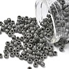 TOHO 6/0 Round Beads SEED-TR06-0053D-1