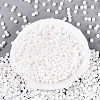 FGB Opaque Colours Glass Seed Beads SEED-Q040-07A-A01-2