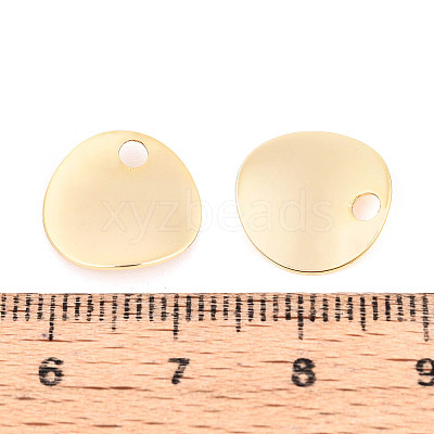 Brass Pendants KK-T077-06G-1