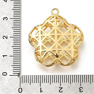 Brass Pendants KK-E792-11G-1