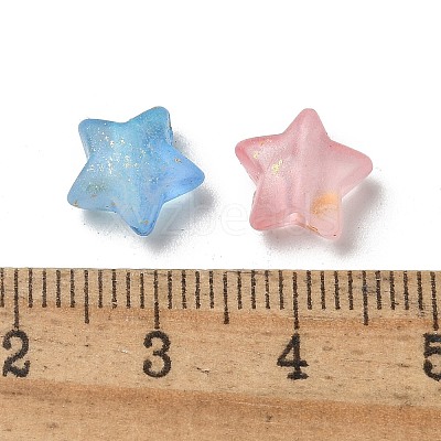 Frosted Acrylic Charms OACR-M023-04B-1