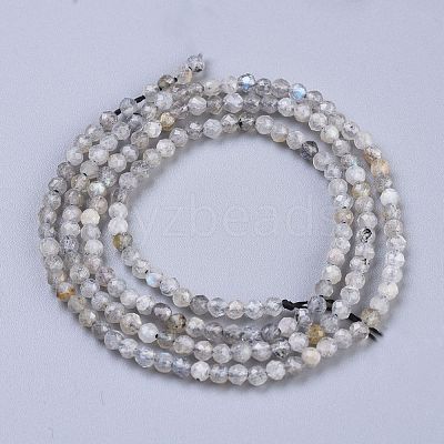 Natural Labradorite Beads Strands G-R475-025A-1