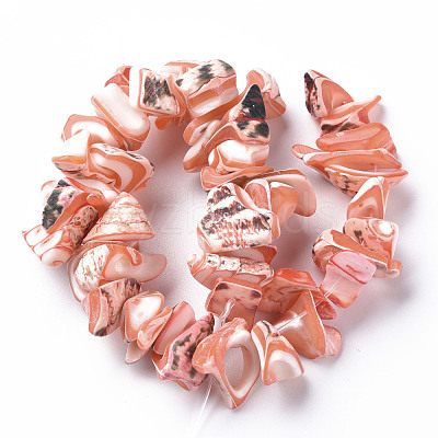 Natural Trochid Shell/Trochus Shell Bead Strands SSHEL-N034-105-A02-1