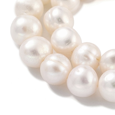 Natural Cultured Freshwater Pearl Beads Strands PEAR-C003-19D-1