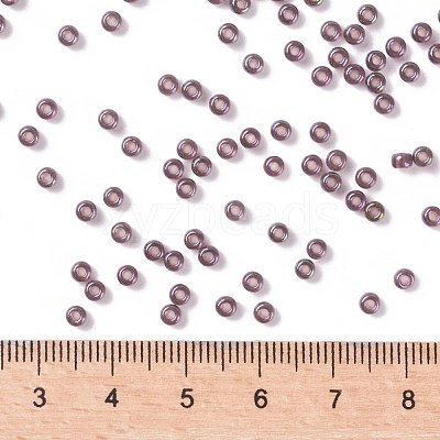 MIYUKI Round Rocailles Beads X-SEED-G008-RR0302-1