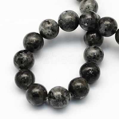 Natural Larvikite Round Beads Strands G-S159-10mm-1