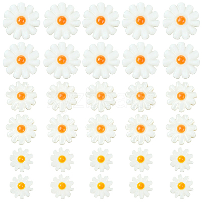 30Pcs 3 Styles Natural Freshwater Shell Beads SHEL-SC0001-91-1