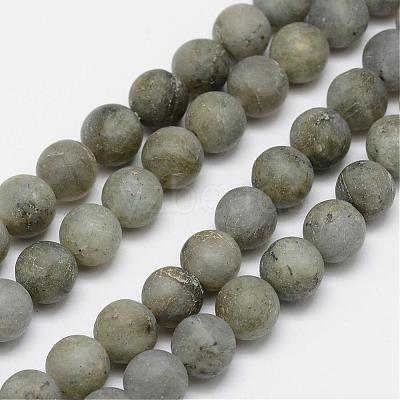 Natural Labradorite Frosted Bead Strands G-O155-04A-6mm-1