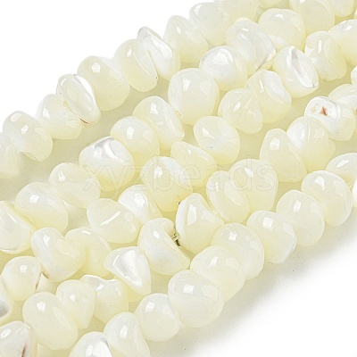 Natural Trochus Shell Beads Strands BSHE-G039-01B-1