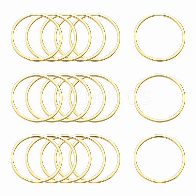 Ion Plating(IP) 304 Stainless Steel Linking Ring STAS-S079-13-B02-NF-1