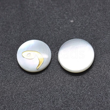 Shell Cabochons SSHEL-E568-A11-1