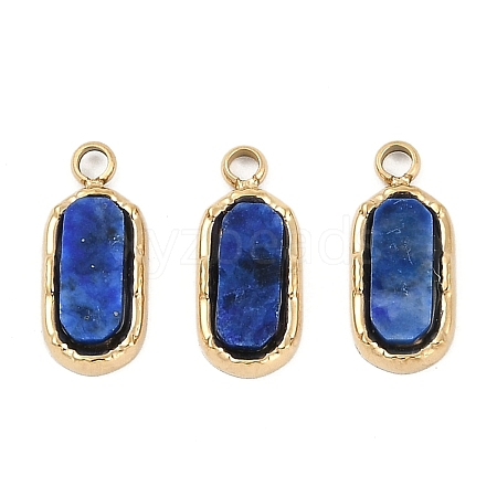 Natural Lapis Lazuli Rectangle Charms STAS-I325-141A-G-1