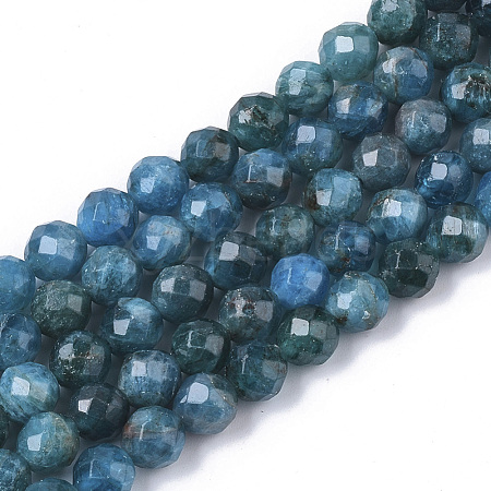 Natural Apatite Beads Strands G-S361-6mm-024-1