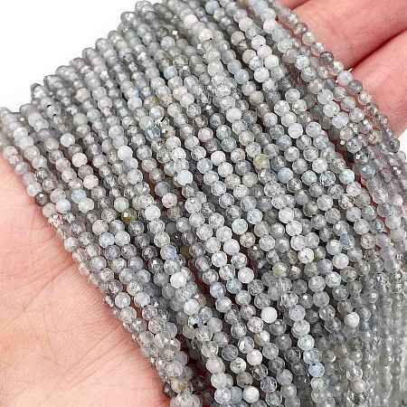 Natural Labradorite Beads Strands X-G-I341-11B-1