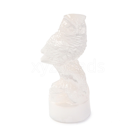 Natural Selenite Figurines DJEW-Q006-01J-1