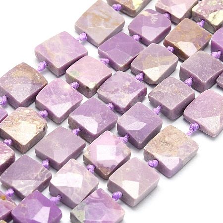 Natural Lepidolite Beads Strands G-G106-D04-02-1