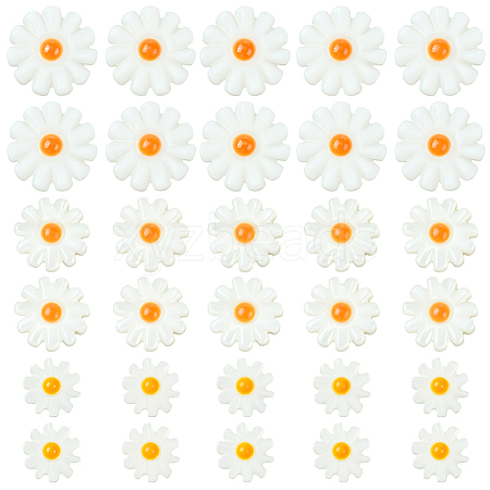 30Pcs 3 Styles Natural Freshwater Shell Beads SHEL-SC0001-91-1