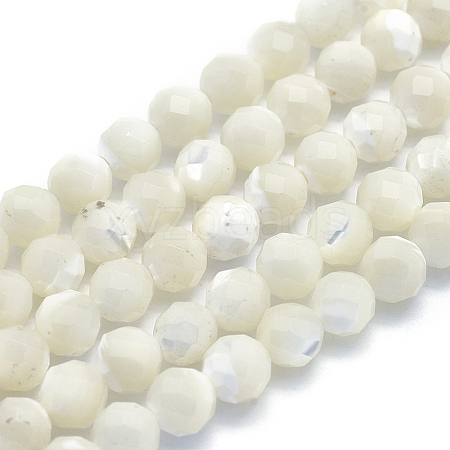 Natural White Shell Beads G-O171-09-6mm-1