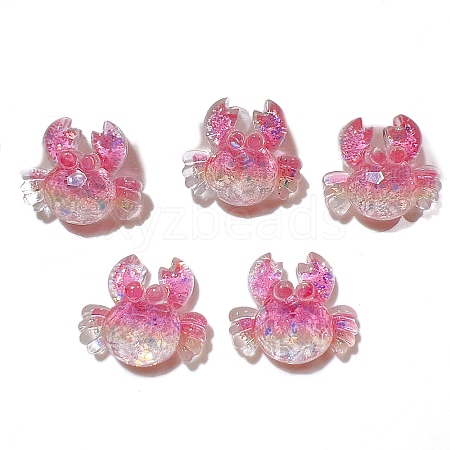 5Pcs Resin Cabochons PW-WG6A867-02-1