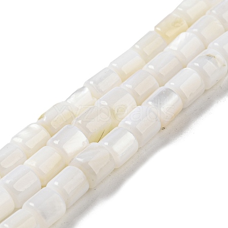 Natural Freshwater Shell Beads Strands SHEL-F008-04A-1