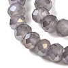 Baking Electroplate Glass Beads Strands LS-DGLA-A039-J10mm-B06-3