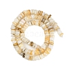 Natural Freshwater Shell Beads Strands BSHE-H109-13B-3