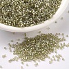 MIYUKI Delica Beads SEED-X0054-DB1766-1