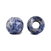 Natural Blue Spot Jasper Beads G-Q608-05H-2