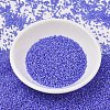MIYUKI Delica Beads X-SEED-J020-DB2388-2