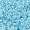 Glass Seed Beads SEED-H002-H-1303-3