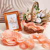 Chiffon Organza Pleated Lace Trim DIY-WH0892-01B-4